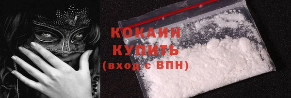 шишки Арсеньев