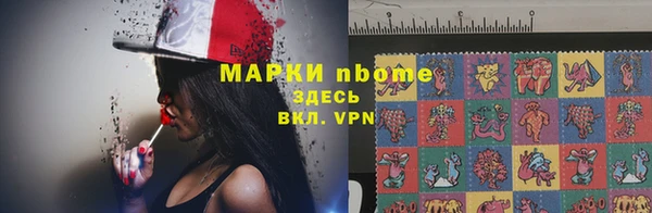 сатива Аркадак