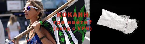 сатива Аркадак