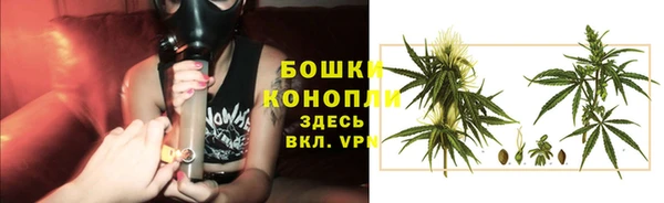 шишки Арсеньев