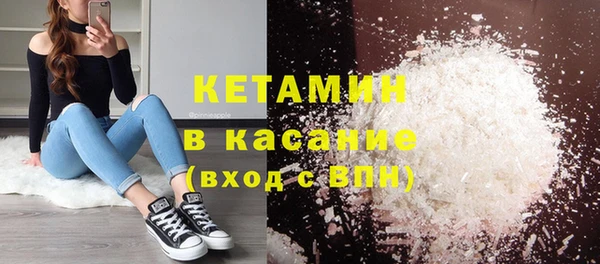 шишки Арсеньев