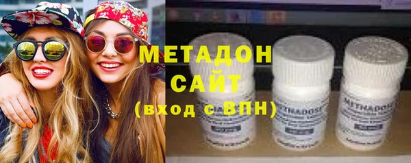 шишки Арсеньев