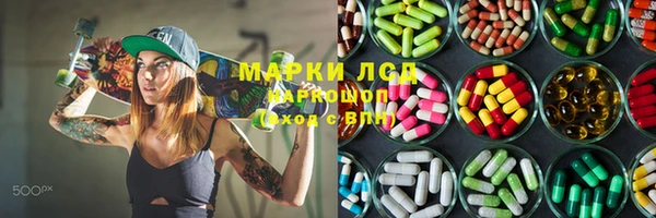 сатива Аркадак