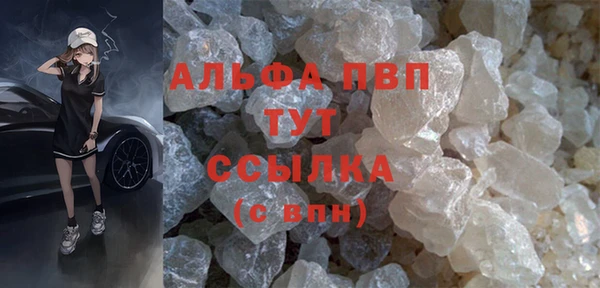 сатива Аркадак