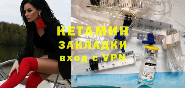 шишки Арсеньев