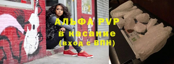 шишки Арсеньев